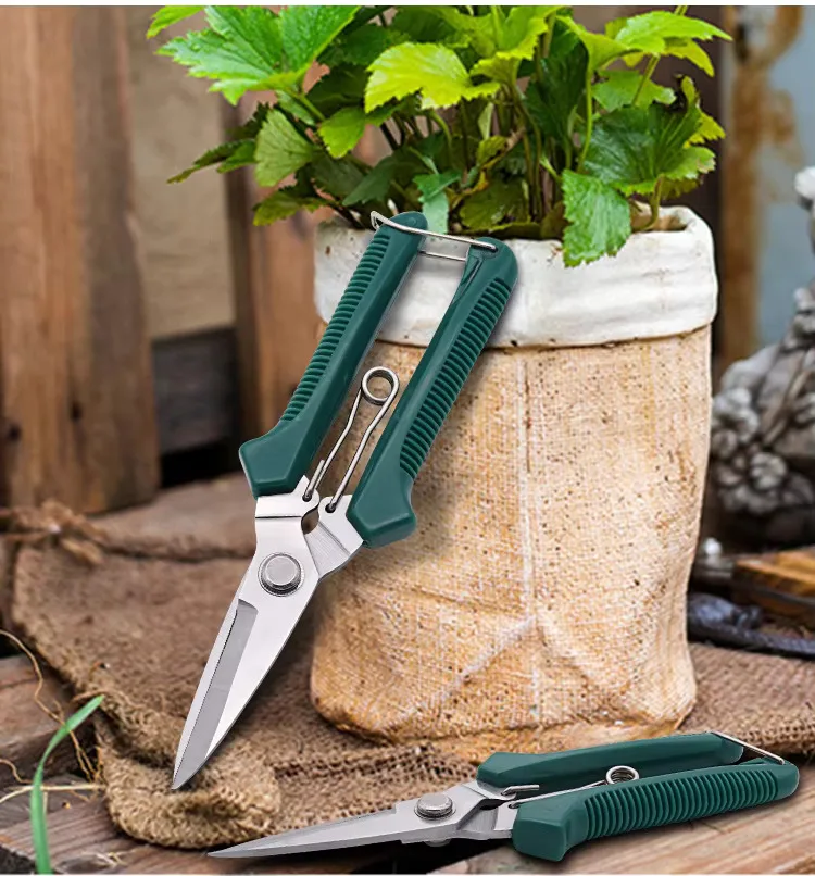 Sbe411177033e4f0ab59efbe8ca94d3455