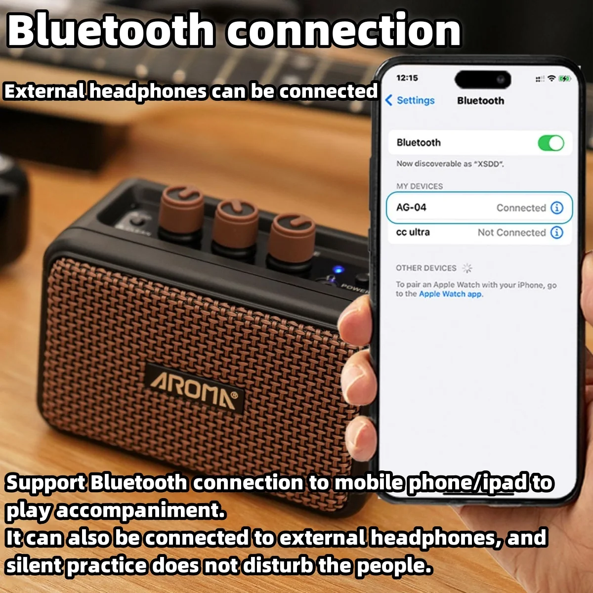 Portable Guitar Amplifier 5