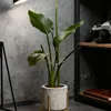 5/1PCS Adjustable Metal Plant Support Climbing Stem Holder Monstera Stabilizer Grapple Trellis Vine Growth Household Garden Tool 3