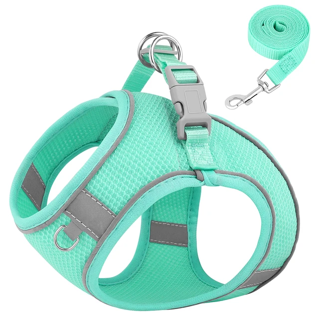 PUPTECK Dog Harness And Leash Set Small Sized, Step In No Pull