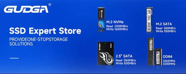 【健康100】1TB SSD M.2 2242 SATA GUDGA製　片面実装 Gudga ngff ssd 2242 sata 128gb 256gb 512gb 1tb m.2 ssd disco