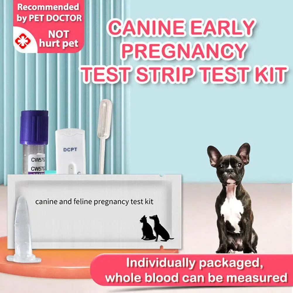 

Dog Pregnancy Test Card Canine Feline Early Pregnancy Test Strips Kit Blood Serum Method For Pet Dog And Cat Bulldog N9M6
