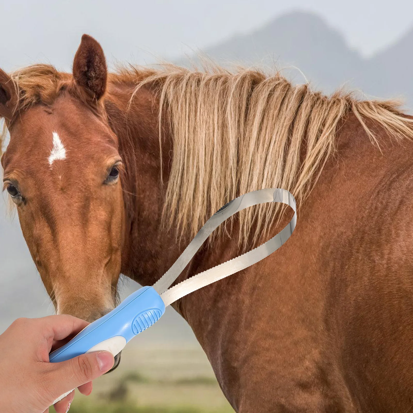 Manual Scraper Livestock Comb Horse Grooming Kit Stainless Steel Cleaning Brush Abs Cattle Bridegroom Spatula 6