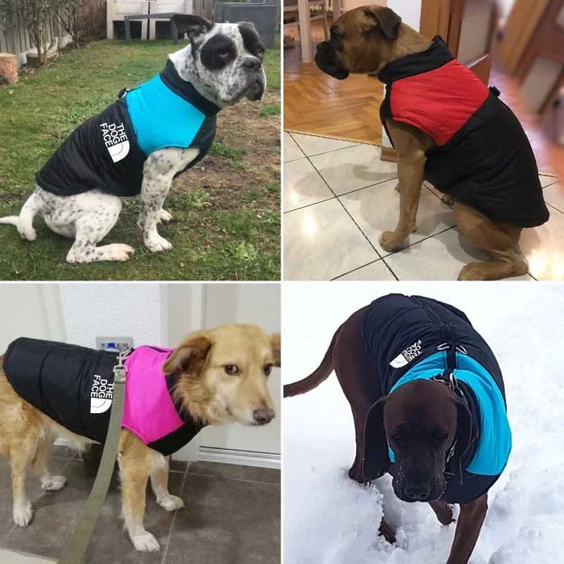 Ropa impermeable para perro, abrigo cálido para mascotas, chaleco acolchado con cremallera, traje facial para perros pequeños, medianos y grandes, Invierno 3