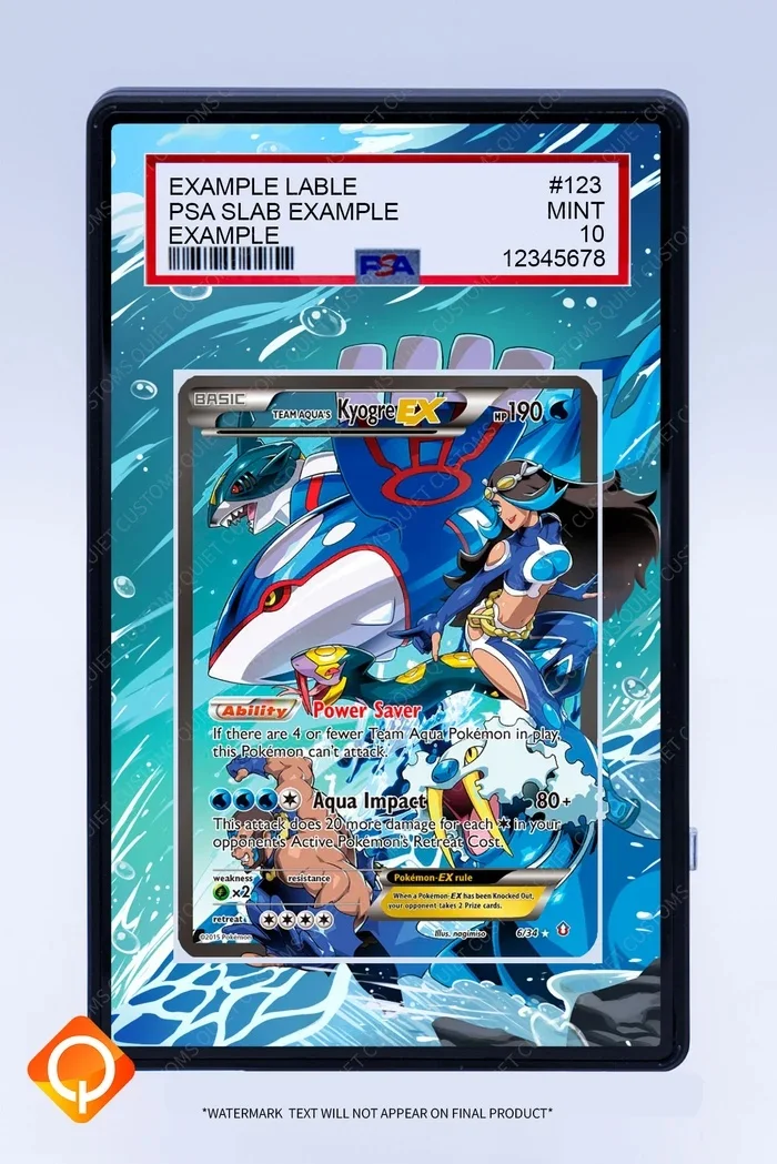Deluxe Acrylic Anime Art Display Case for Trading Card Showcase