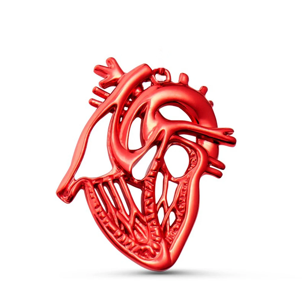 

Anatomical Heart Brooch Metal Lapel Red Color Pin Anatomy Jewelry Wholesale Doctor Nurse Medical Student Nerd Biology Love Gift