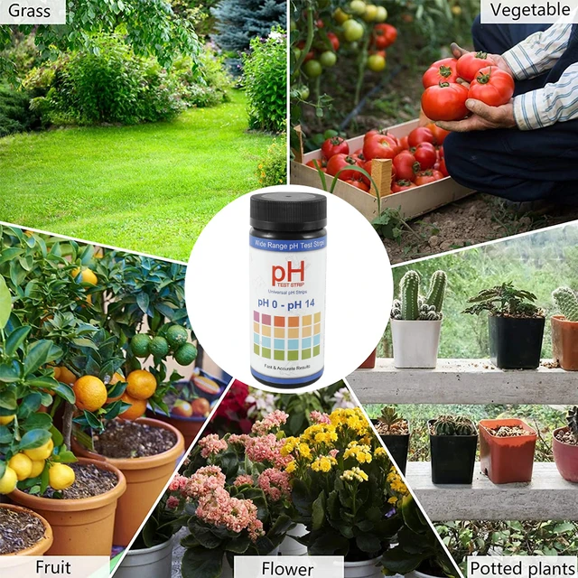 Kit De Prueba De PH Del Suelo: 100 Tiras Rango 3-9 Para Jardín, Césped Y Plantas (Resultados Rápidos Y Precisos)