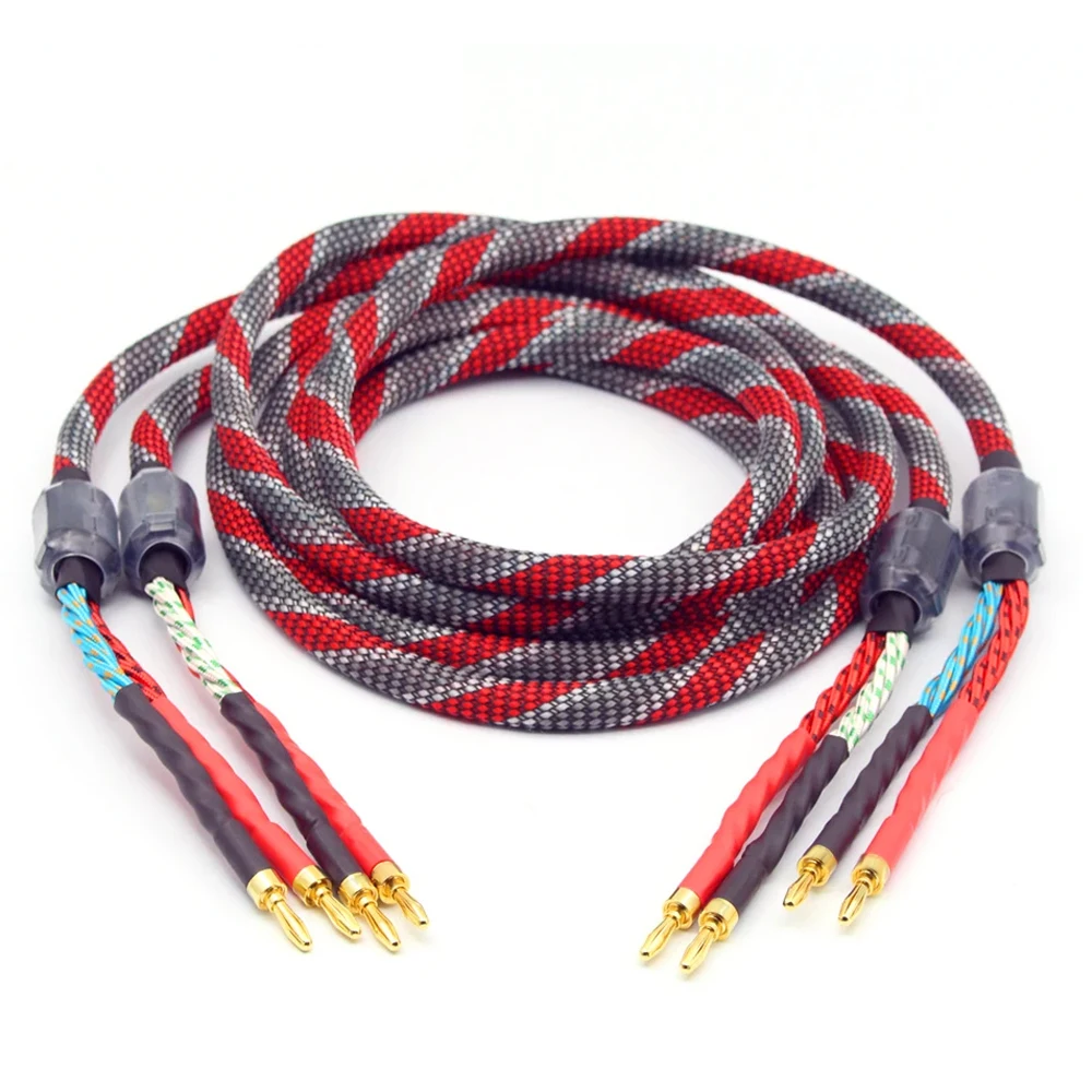 Coppia Cavo Amplificatore Audio Hifi Ofc (Rame Privo Di Ossigeno) Di Fascia Alta Hi-Fi Altoparlante Hi-Fi Lettore Cd Cavo Connettore Banana