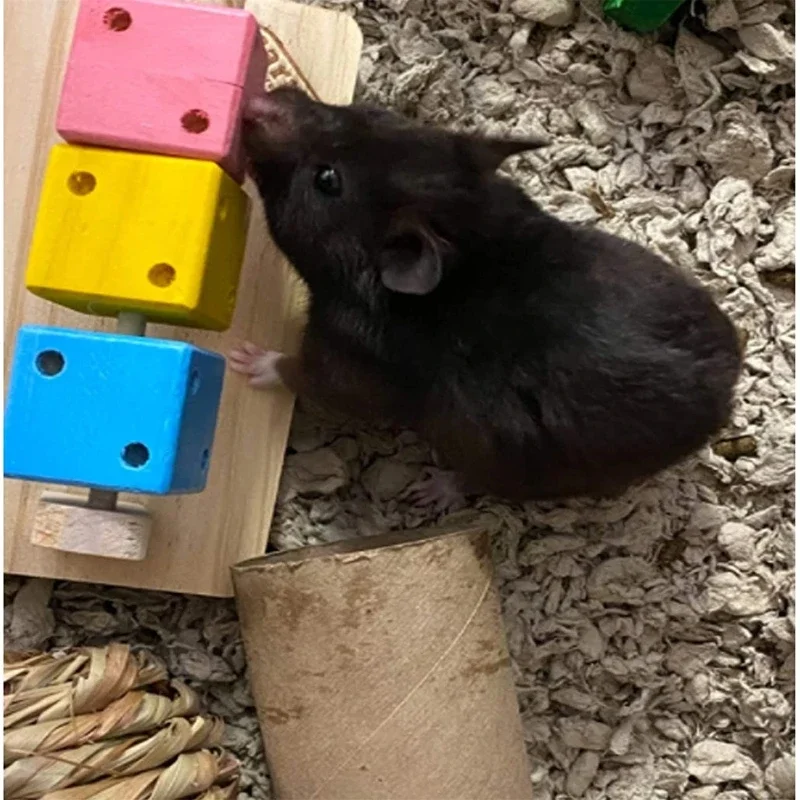 Fun Rubik's Cube Hamster Toys Solid Wood Toy Teeth Grinding Supplies For Golden Bear Parrot Chinchilla Guinea Pig Rabbit