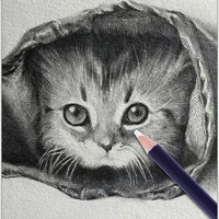 1/3/6pcs Creative Rubber Pen Pencil Eraser for Drawing Manga High Precision Pen Shape Erasers School Art Stationery Supply 4