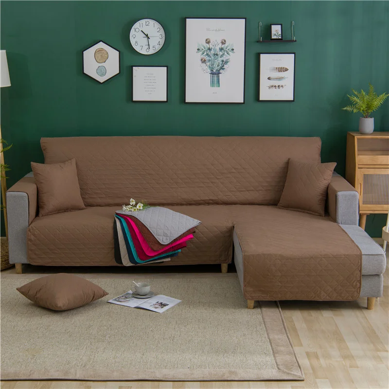 _DSC6069.jpg_.webp _DSC6069.jpg_.webp