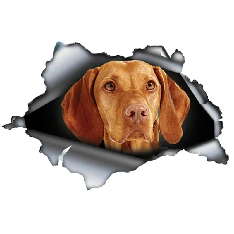

Classic Design Vizsla Dog Car Sticker Pet Decal Occlusion Scratch Reflective Car Bumper Decor Auto Car Accessories Decoration