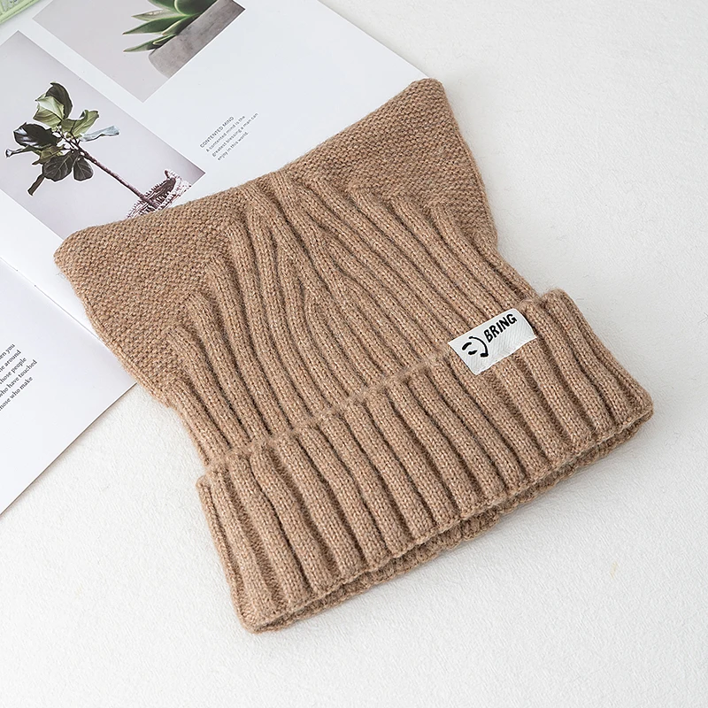 New Style Cute Cat Ear Hat Dandy Cap Kpop Style Beanie Hat Sweet Autumn/Winter Hats For Women Street Warm Hats For Girl