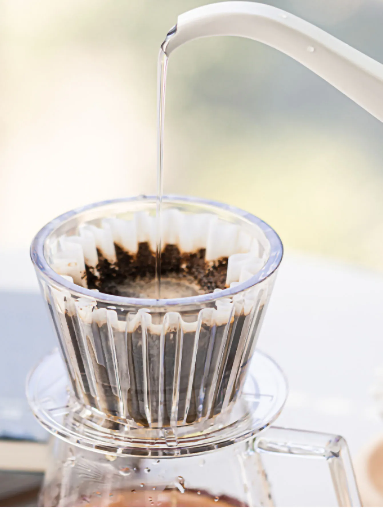 Professional Coffee Filter Cups 50 Pcs - أكواب ترش...