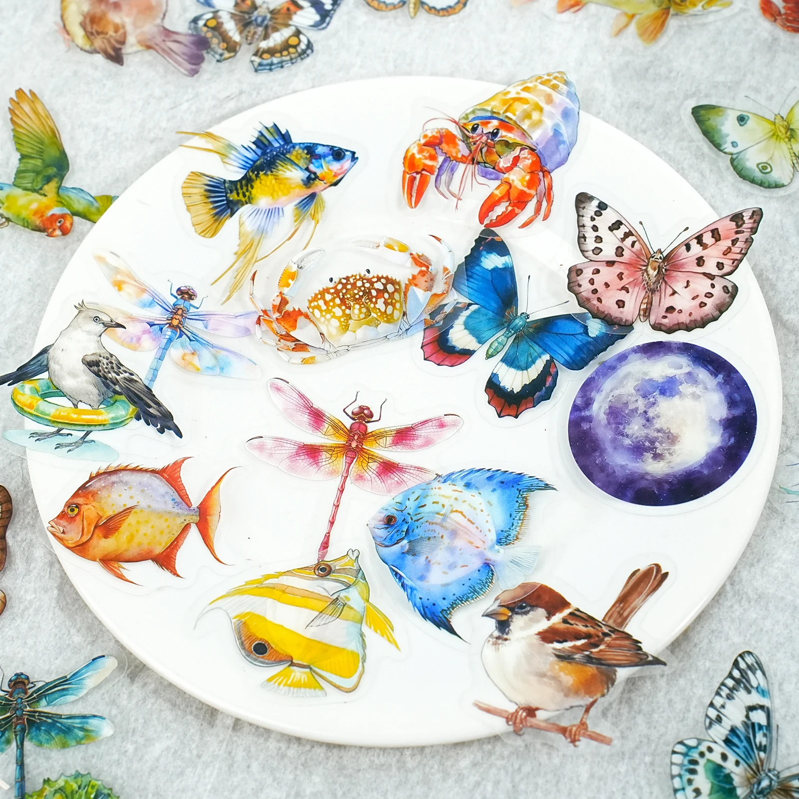 50 시트 수중 동물 테마 애완 동물 스티커 DIY 핸드북 스크랩북 저널 유리 병 사진 프레임 장식 스티커