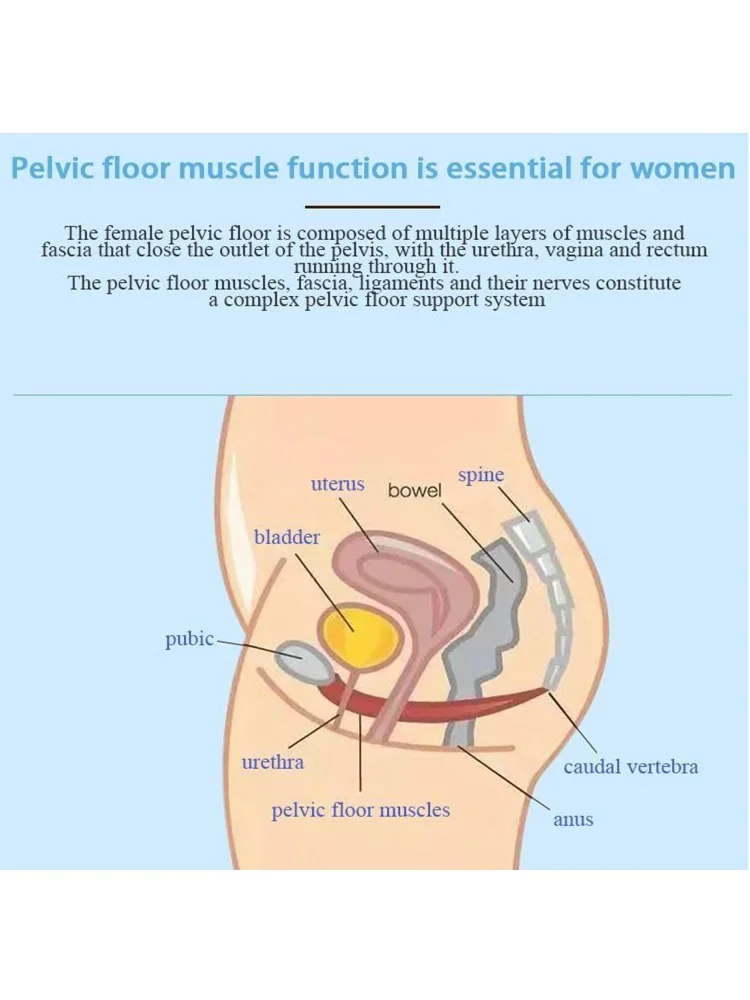 Newest Ems Pelvic Floor Chair Urinary Incontinence Rehabilitation Machine Exercise Muscle Repair Stimulator 4