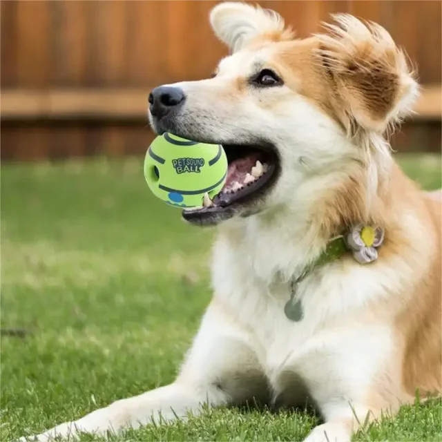 Dog Toy Funny Interactive Giggle Ball Toy for Dog Grind Teeth and Relieve Boredom Dog Wear-resistant Chew Toys Pet supplies 3