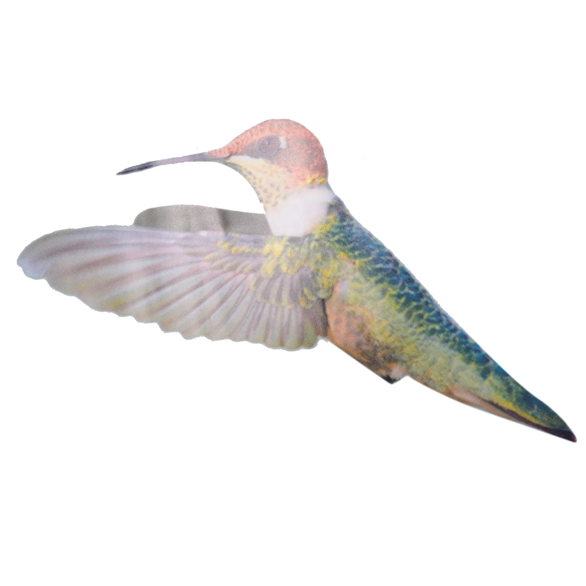 6 Pcs Lrge Size Bird Window Clings Anti-Collision Window Clings Decals to Prevent Bird Strikes on Glass