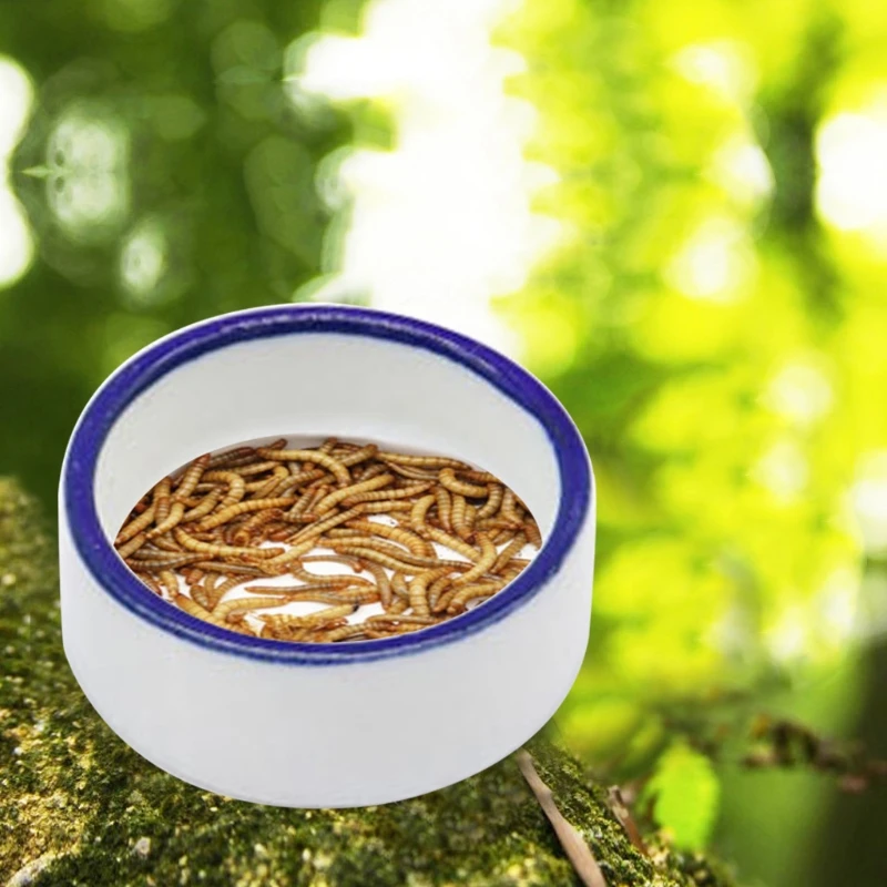 Reptile Feed Bowls Water Food Bowl Ceramic Pet Bowls Anti-Escape Mini Mealworms Dish for Lizard Bearded Dragon