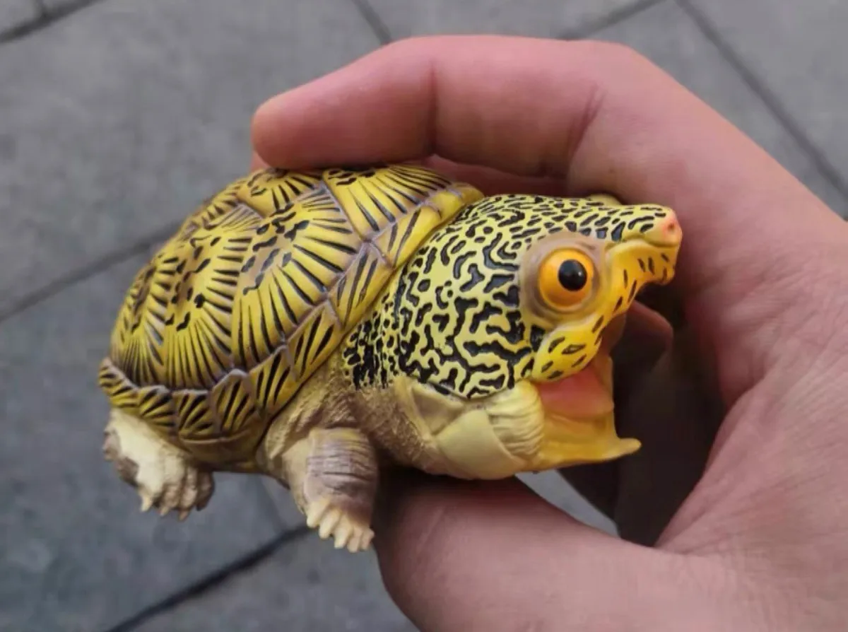 

Mini Turtle Laugh and Grow Fat Series Hidden Version Collector Realistic Model Geochelone gigantea Galapagos Giant Tortoise