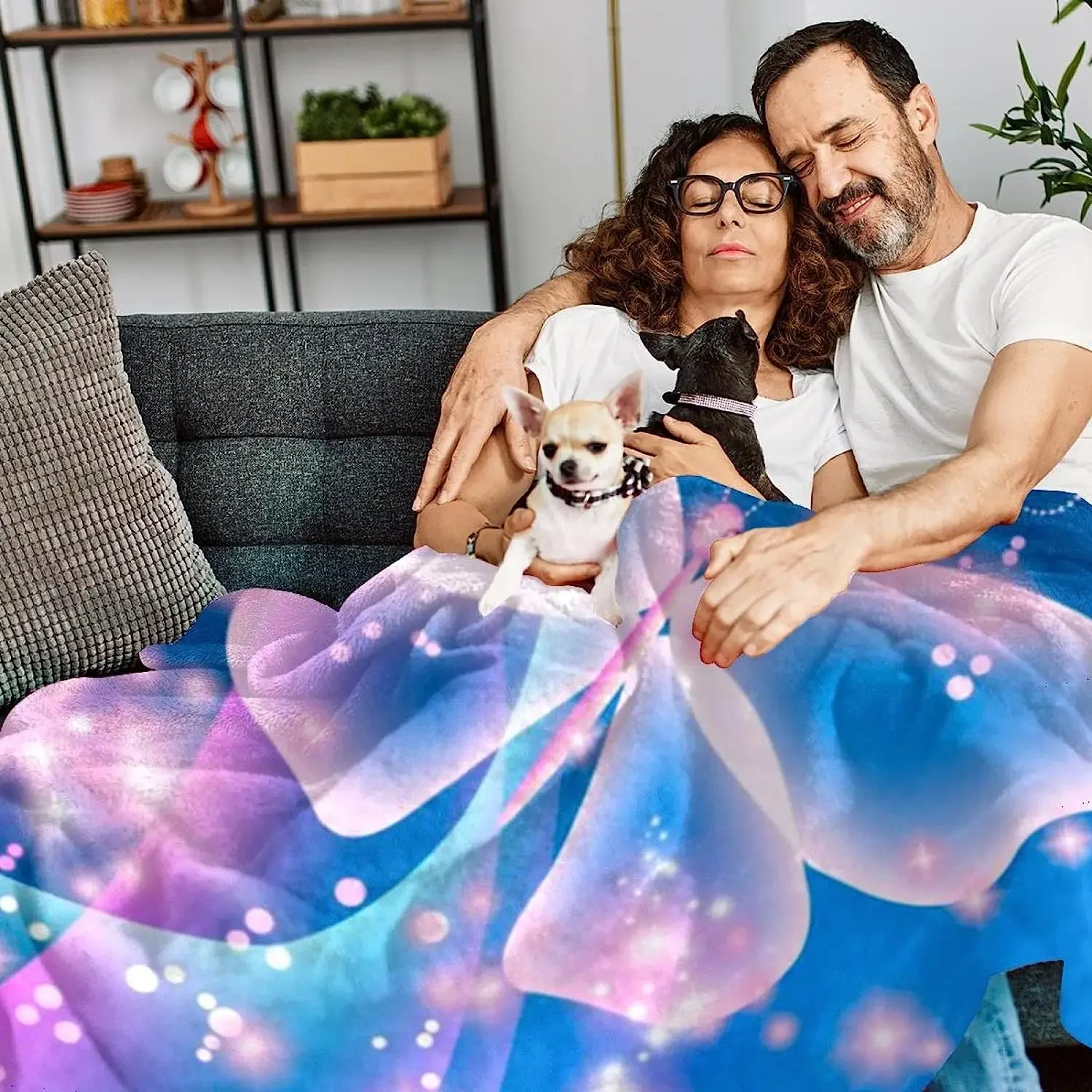 ħ�� �ø��� ���, ħ�� ���� �ٴ� ���, ���� ����� �Ķ��� ������