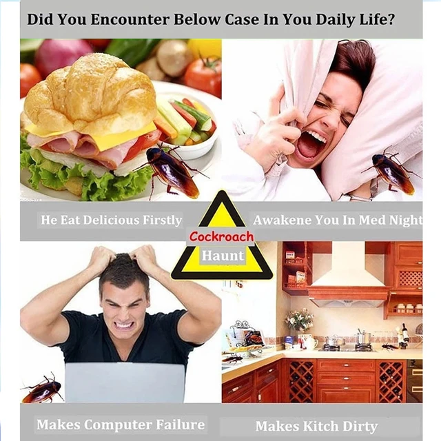 100Db Csótány Megöli A Csali Por Hatékony Csótány-Vezérlő Konyha És Az Otthoni Kártevő Visszataszító Kocka-Ellenes Gyógyszer - Image 4