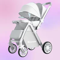Poussette pour bébé pliable, tige de poussée bidirectionnelle, quatre roues, absorbant les chocs, landau avec moustiquaire 2