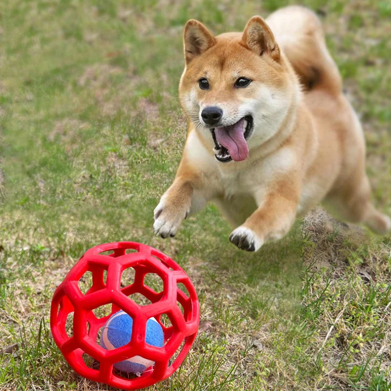 Cats and Dogs with Hollow Balls Cleaning Teeth Without  Deformation  Toys TPR Plastic Rubber Balls Christmas Bells Pet Toy Balls 4