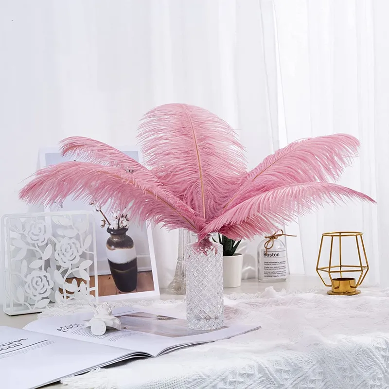 Baby Pink Ostrich Feathers Feather Centerpieces Wedding Centerpieces Feather  Decorations Feathers for Vases 