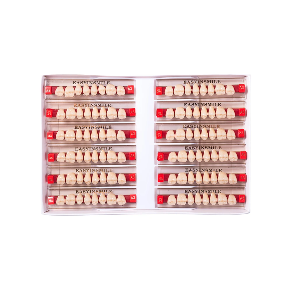 16/12 Sets/ Box Dental Denture Teeth Upper Anterior Lower Posterior Teeth acrylic A2 A3 2 layers Dental Education Model 2