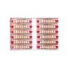 16/12 Sets/ Box Dental Denture Teeth Upper Anterior Lower Posterior Teeth acrylic A2 A3 2 layers Dental Education Model 2