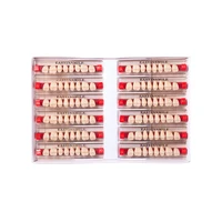 16/12 Sets/ Box Dental Denture Teeth Upper Anterior Lower Posterior Teeth acrylic A2 A3 2 layers Dental Education Model 2