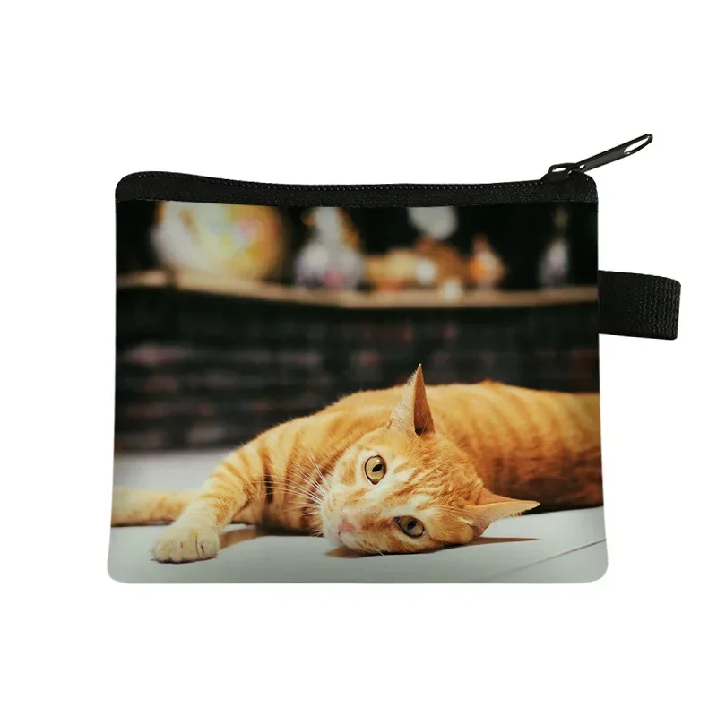 Cartoon Cat Print Coin Purse and Card Holder