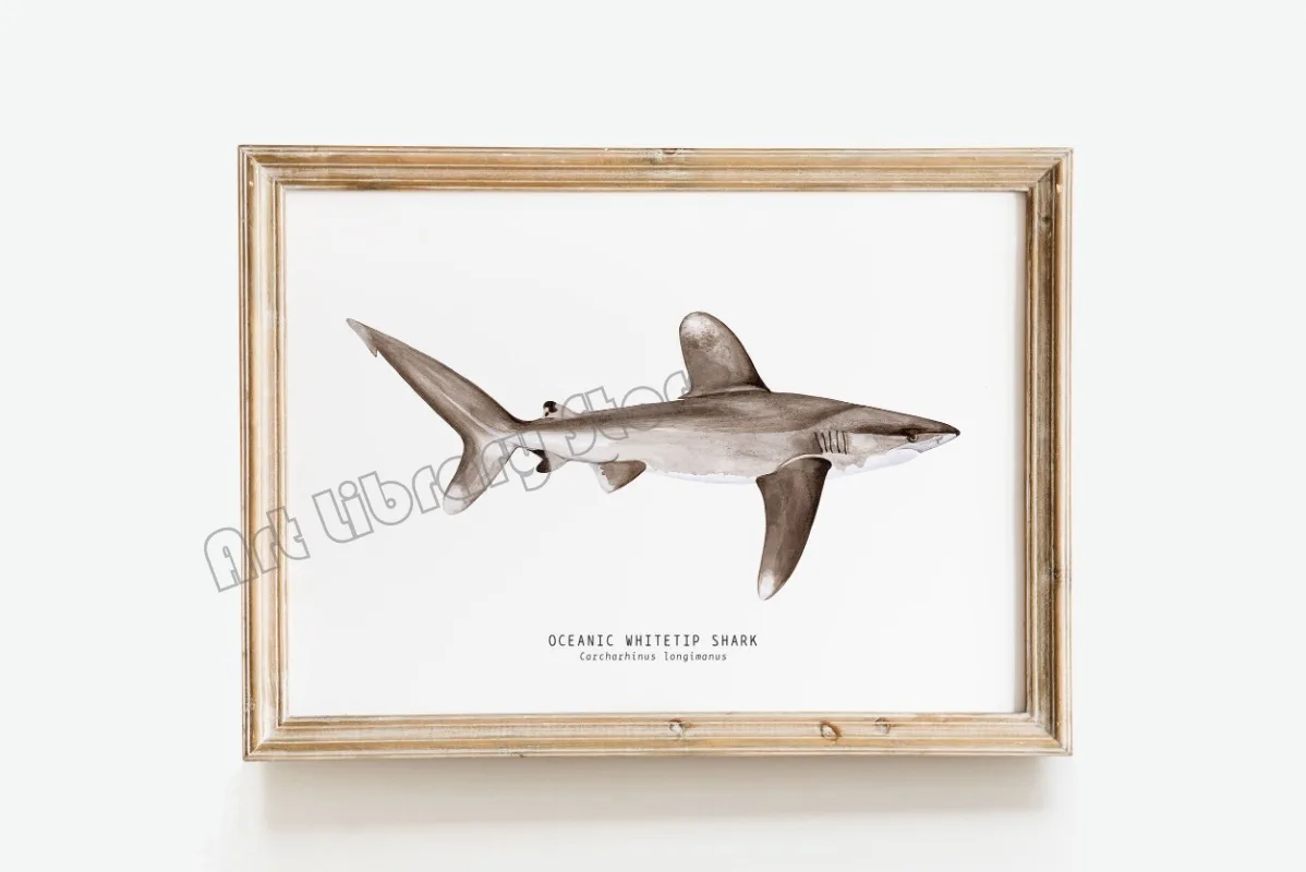 Marine Life Ocean Animals Canvas Art Poster - Whales, Sharks, and Turtles