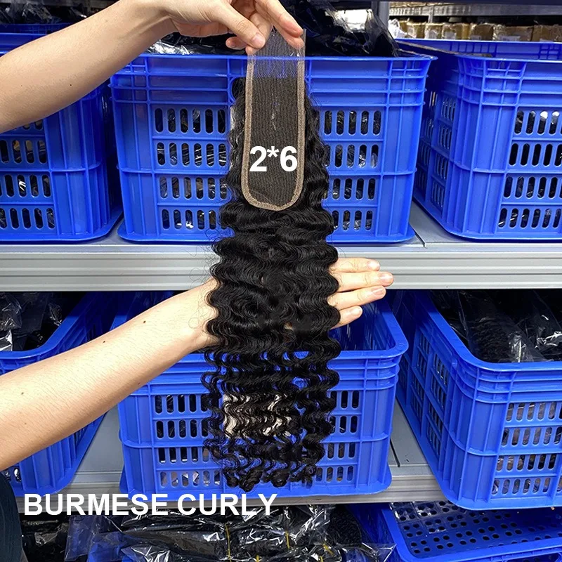 Burmese Curly