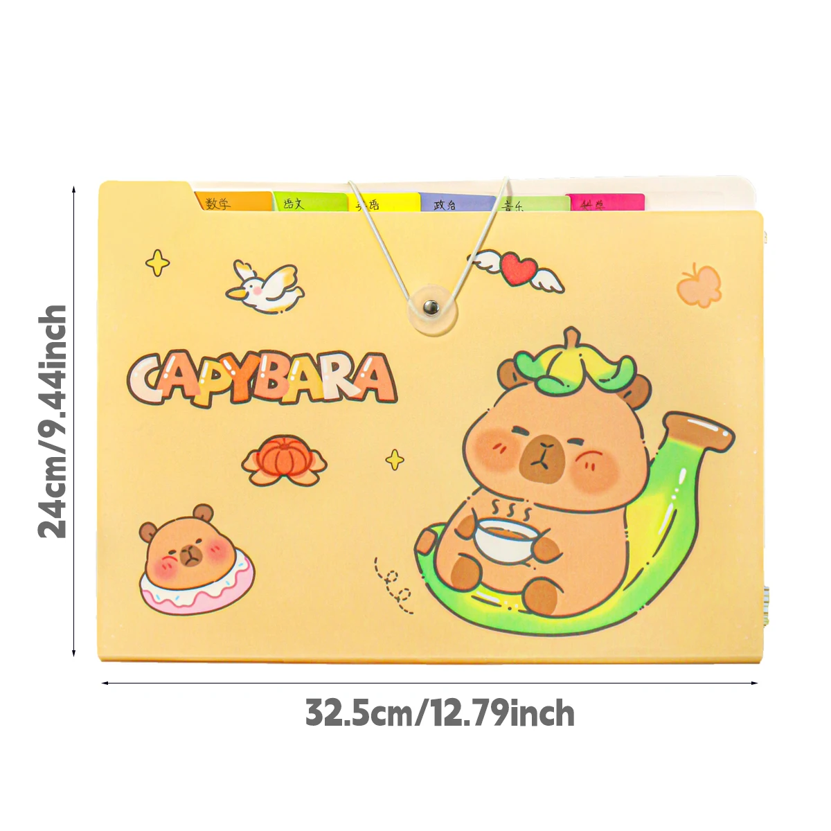 File Folder A4 Data Classification Accordion Bag