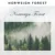 Norweign Forest