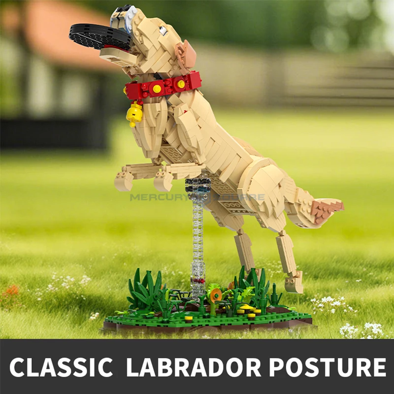 Labrador Retriever Model Side View