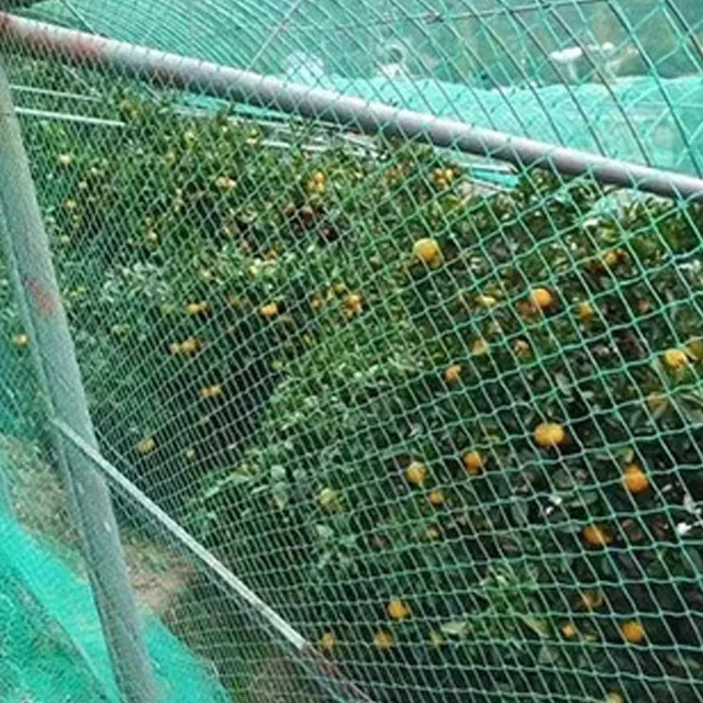 Garden Netting Green Woven Mesh Protect Plants Fruits Flowers Vegetables Stretch Fencing Gardening Pest Control Barrier Netting 4