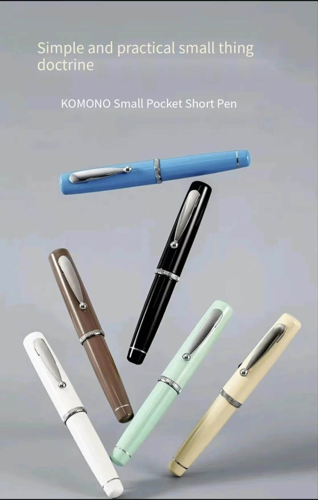 Stylo plume de poche platinum à plume apparente pour calligraphie_voghion.com