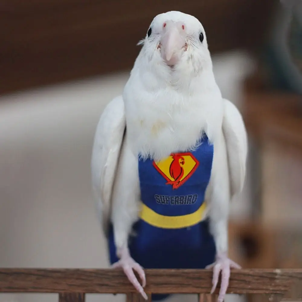 For Parakeet Cockatiel Pigeons Cloth Pet Accessories Birds Flight Suit Parrot Diaper Parrot Urine Pants Birds Clothes