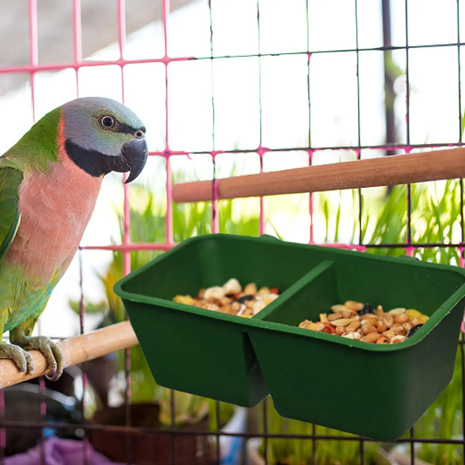 Ciotola 2-in-1 per Cibo e Acqua per Pappagalli, Doppia Ciotola per Alimentazione, Contenitore in Plastica per Acqua e Cibo per Uccelli/Piccioni, Ciotola per Acqua per Animali Domestici