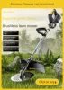 Electric lawn mower 1