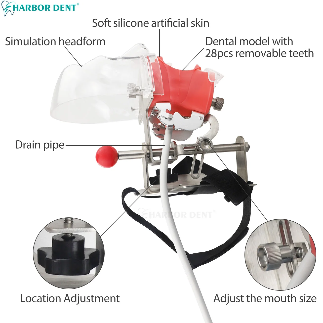 حزام كرسي الأسنان/مشبك نوع الطاولة نموذج رأس محاكا...