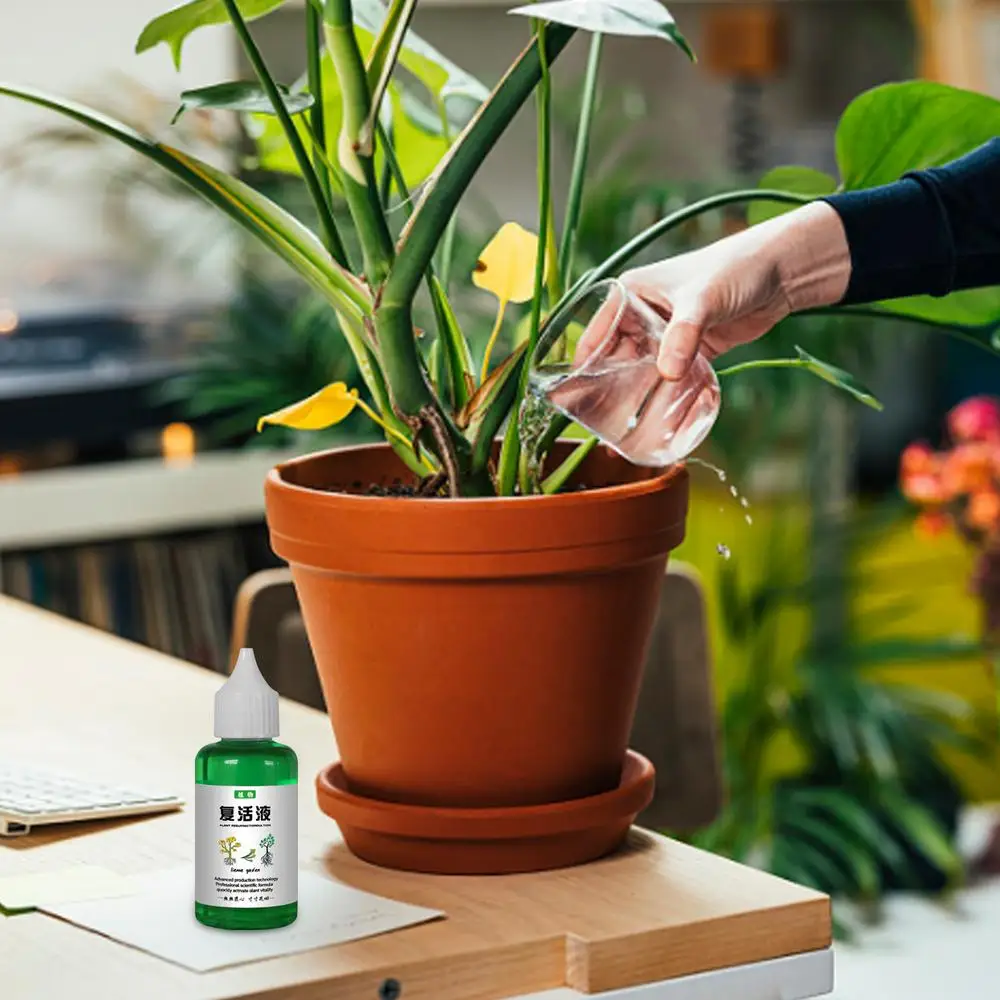 Description Picture 2 of itemResurrection Liquid For Plants 50ml Flower Fruit Vegetable Fertilizers Fertilizing Liquid Concentrate Plant Resurrection Liquid