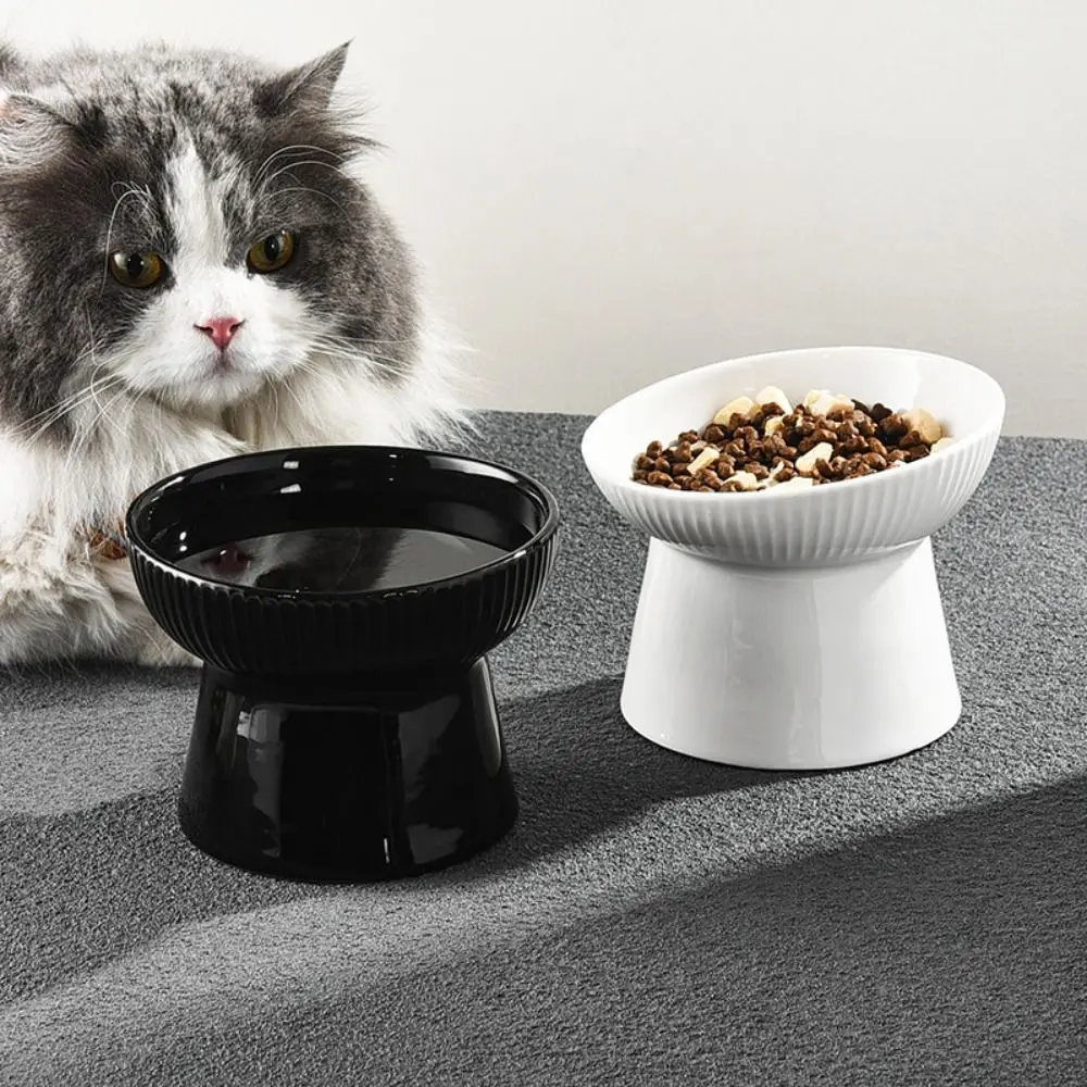 Ceramic Raised Cat Bowl