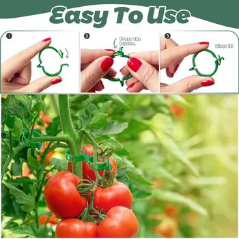 Plant Clips for Climbing Plants,Tomato Trellis Garden Vine Strapping Bundled Buckle Clips,Plastic Trellis Plant Support Clips
