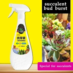 Eugenin Organic Granules for Healthy Succulent Growth - 300ml (Eugenin)