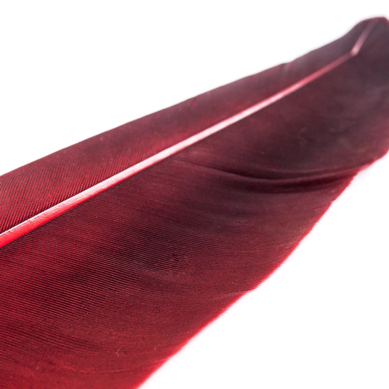 1 Set Feather Fountain Pen Calligraphy Pen Quill Oblique Fountain Luxury Pen Ink +5pcs Nib Metal for Fancy Font Office Supplies