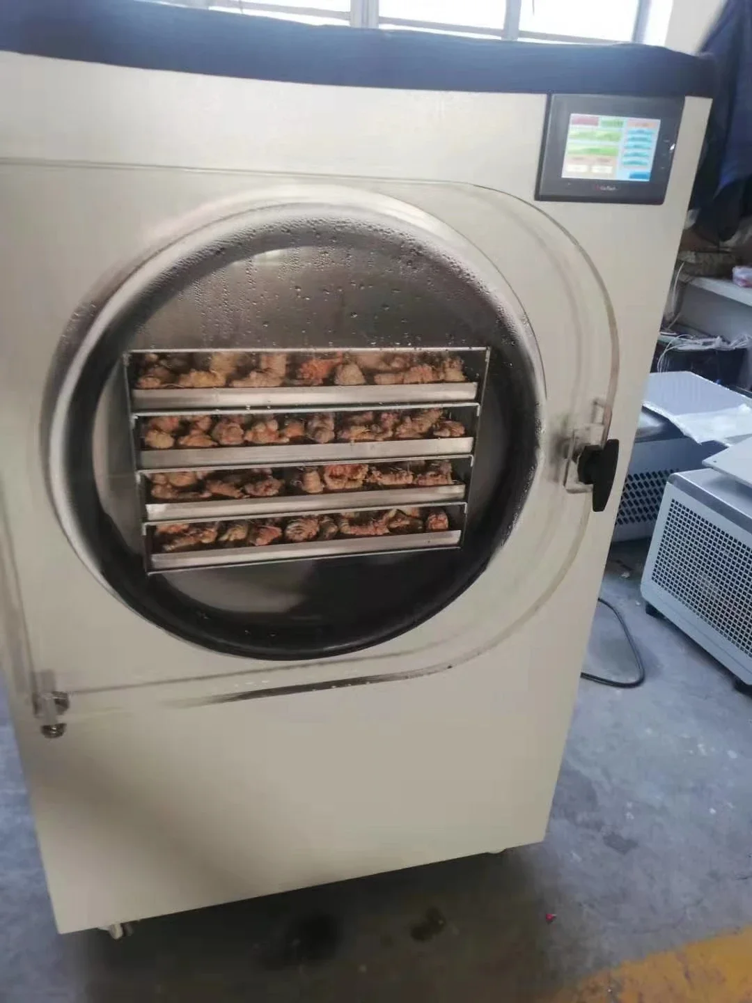 Рисунок 4 - Вакуумная сушилка Liofilizador